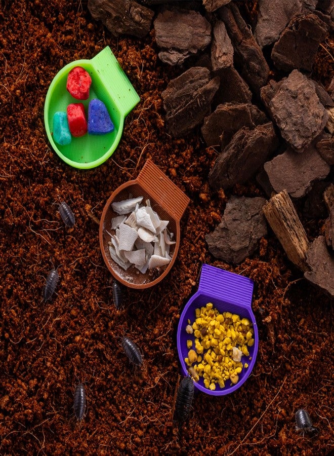 HERPDEN 12-Pack Feeding Dish for Invertebrates - Feeder Bowls for Dubia Roaches, Isopods, Springtails, Superworms, Small Insects & More - Mini Bowls for Reptile Food & Supplements - Image 3